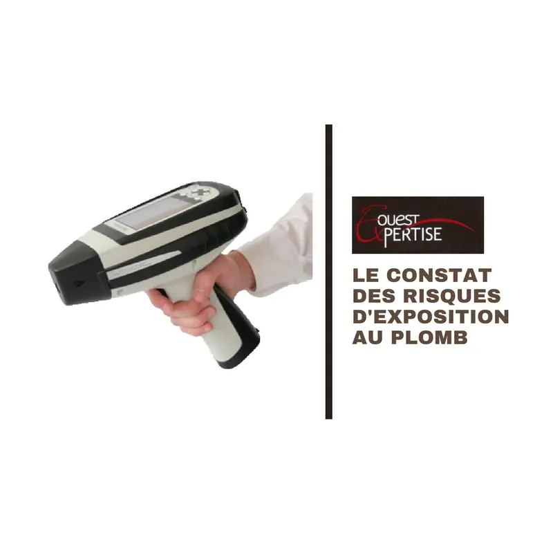 Le constat de risque d'exposition au plomb